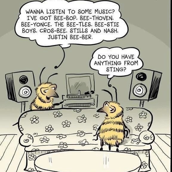 Bee's Buzzing cartoon